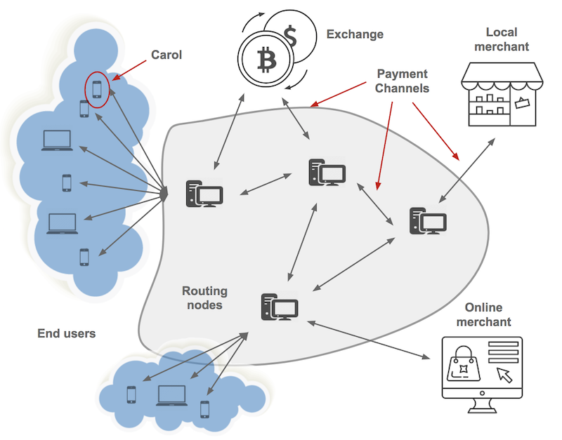 lightning network participants